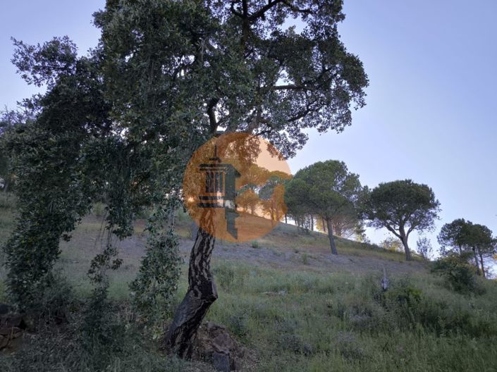 Image No.22-Terrain à vendre à Castro Marim