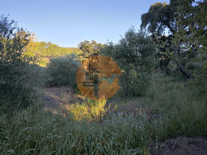 Image No.23-Plot for sale