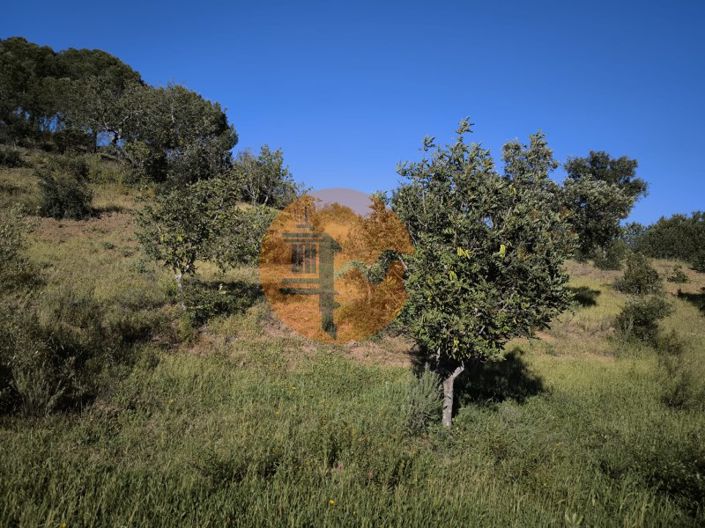 Image No.24-Terrain à vendre à Castro Marim