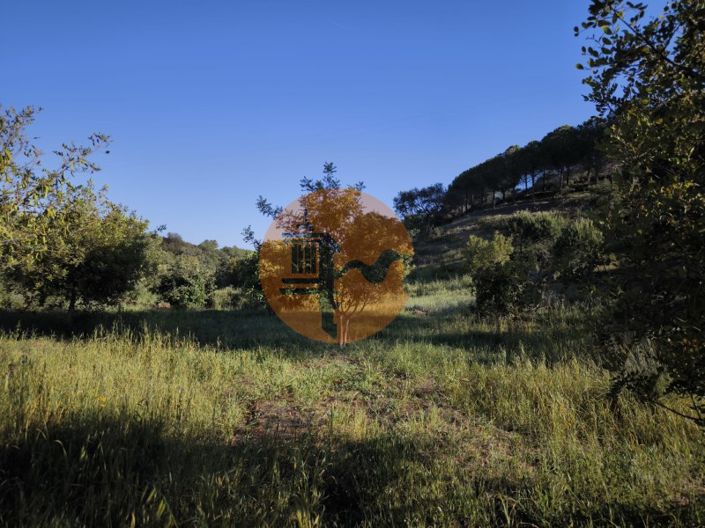 Image No.26-Plot for sale