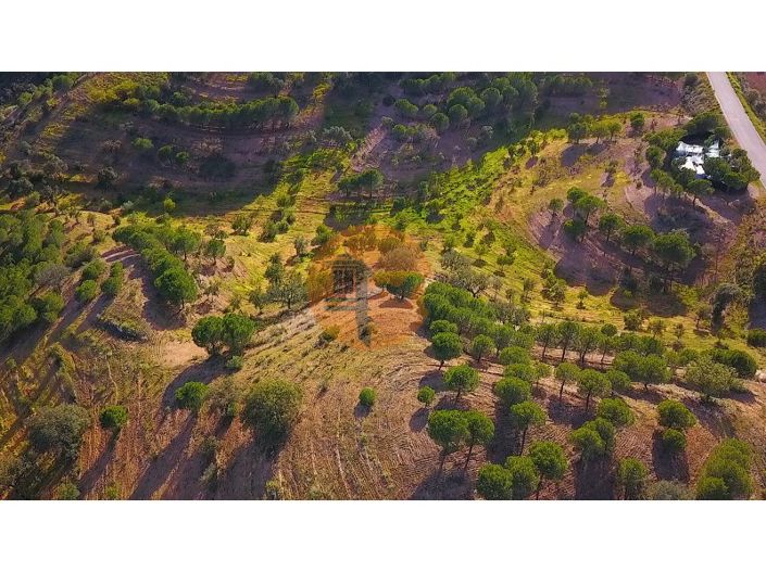 Image No.27-Plot for sale