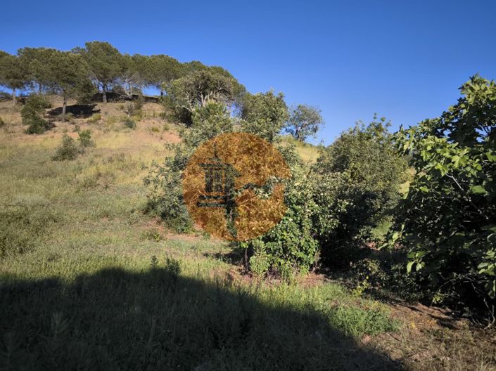 Image No.28-Plot for sale