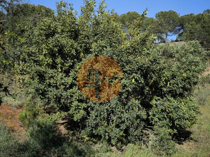 Image No.29-Plot for sale