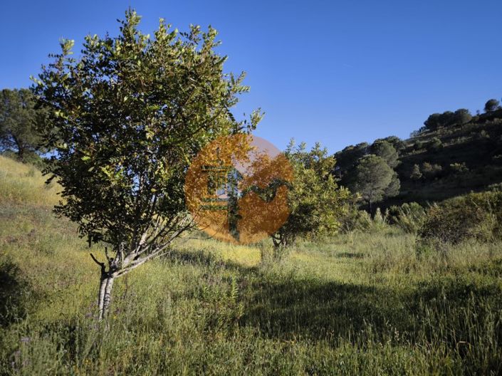 Image No.32-Terrain à vendre à Castro Marim