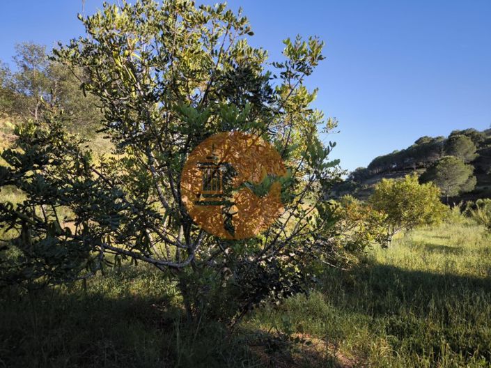 Image No.33-Plot for sale