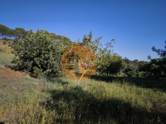 Image No.34-Terrain à vendre à Castro Marim