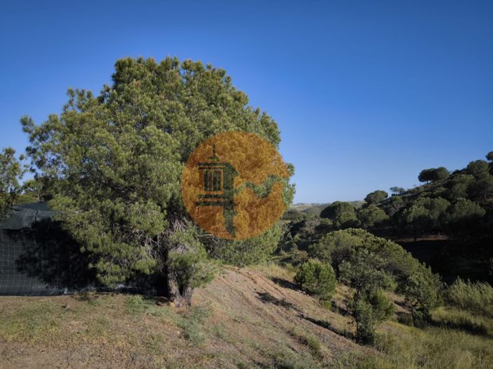 Image No.39-Plot for sale