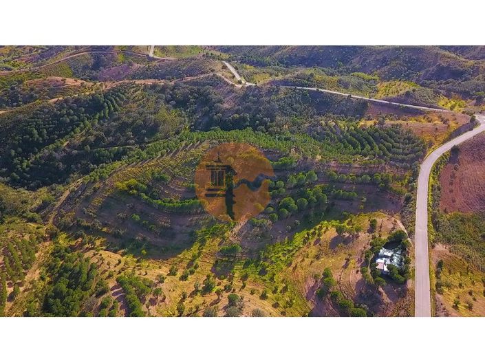 Image No.4-Plot for sale