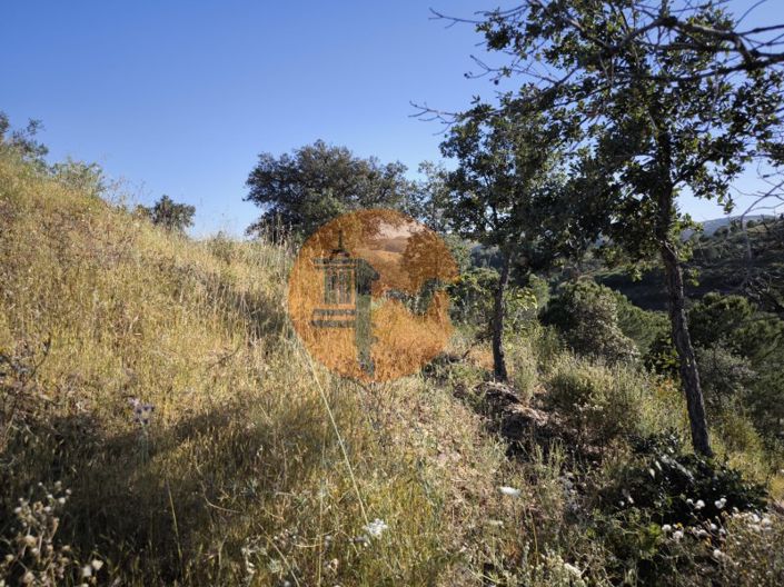 Image No.40-Plot for sale