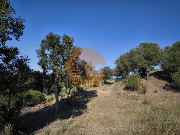 Image No.41-Terrain à vendre à Castro Marim