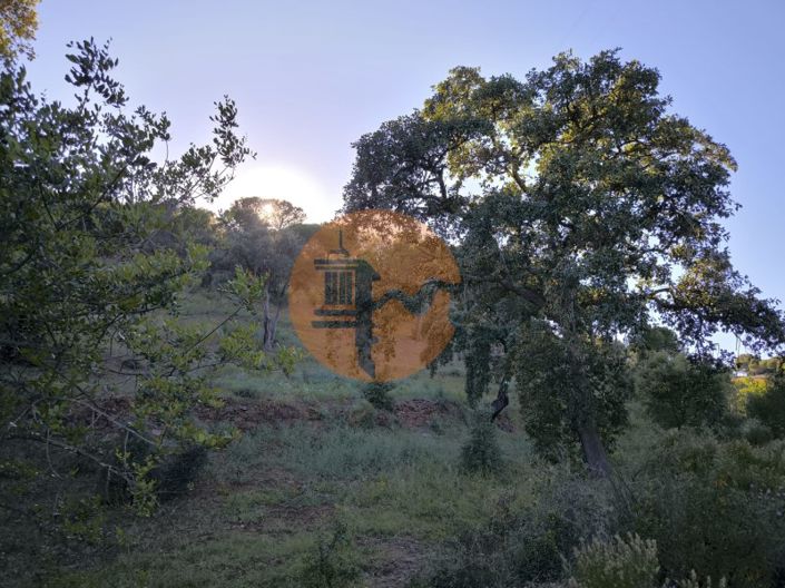 Image No.6-Terrain à vendre à Castro Marim