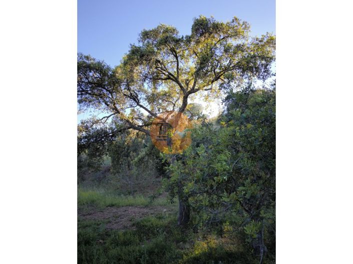 Image No.9-Plot for sale