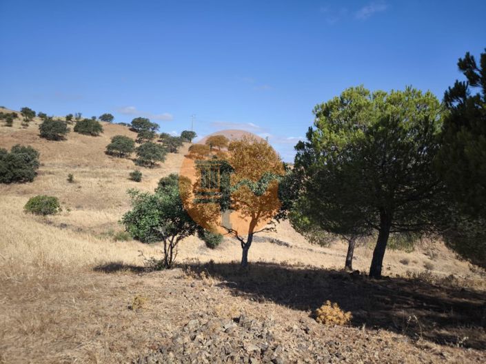 Image No.10-Plot for sale