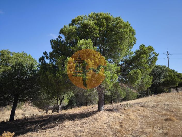 Image No.12-Plot for sale