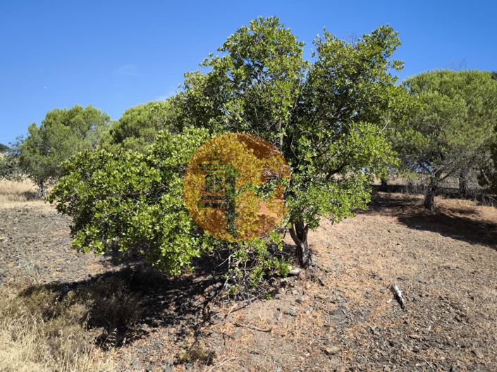 Image No.16-Plot for sale