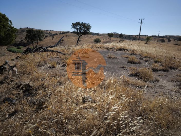 Image No.19-Plot for sale