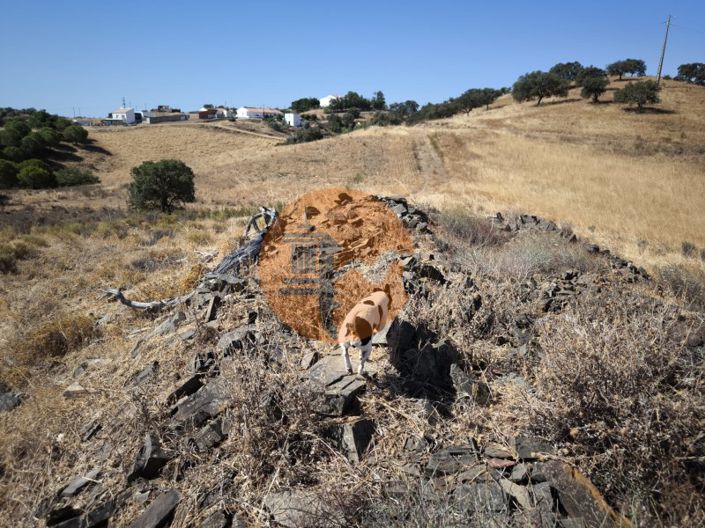 Image No.21-Plot for sale