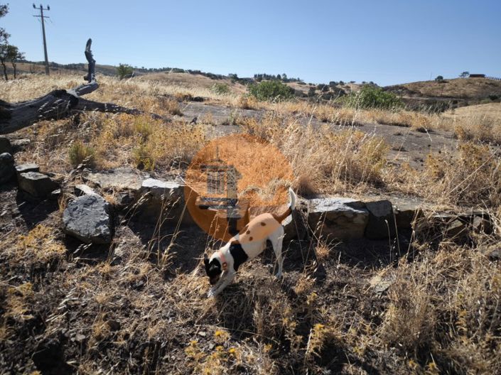 Image No.23-Plot for sale