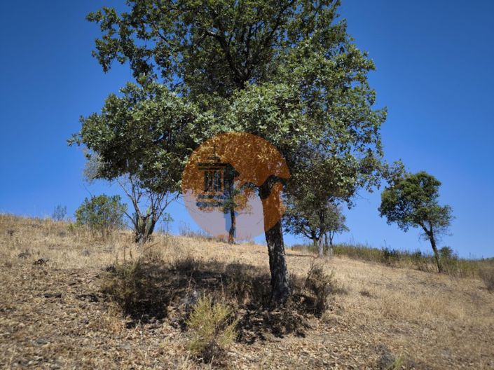 Image No.26-Plot for sale