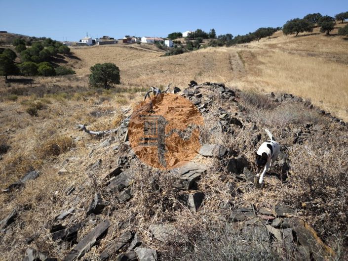 Image No.27-Plot for sale