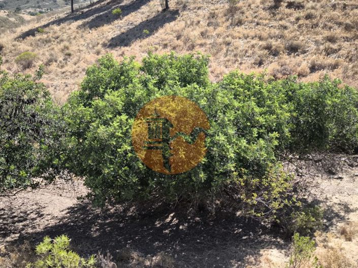 Image No.28-Plot for sale