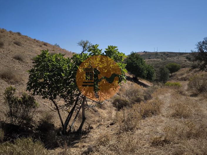 Image No.30-Plot for sale