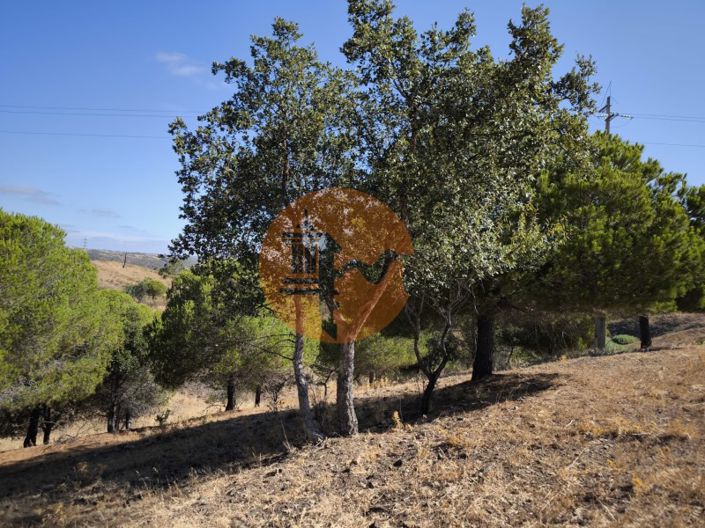 Image No.4-Plot for sale