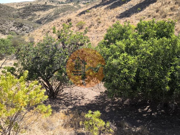 Image No.5-Plot for sale