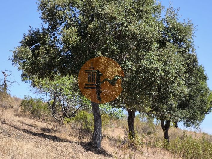 Image No.6-Plot for sale