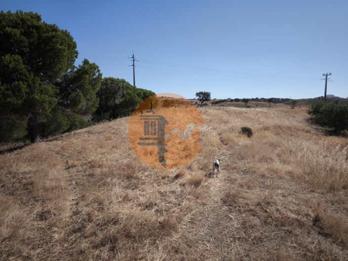 Image No.8-Plot for sale