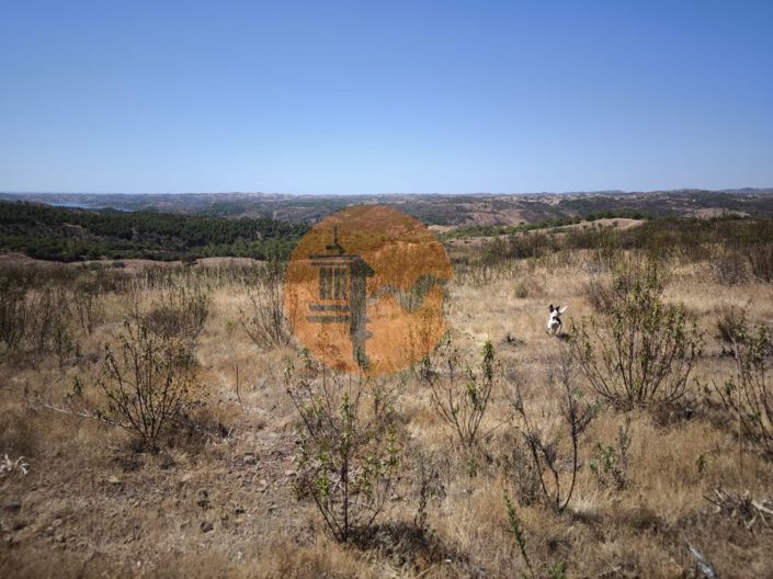 Image No.3-Plot for sale