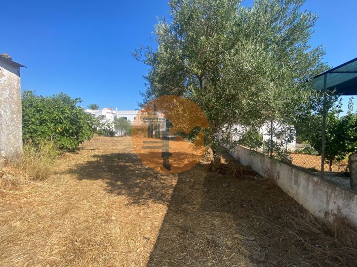 Image No.20-4 Bed House for sale