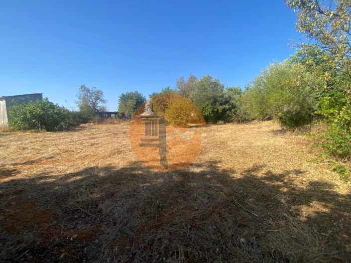 Image No.22-4 Bed House for sale