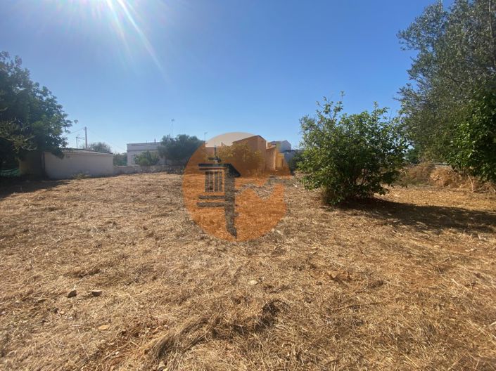 Image No.23-4 Bed House for sale