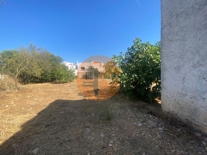 Image No.10-4 Bed House for sale