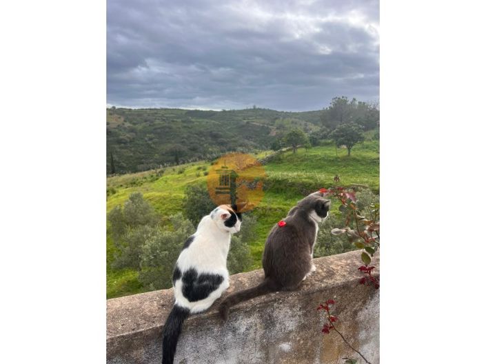 Image No.38-Maison de 3 chambres à vendre à Castro Marim