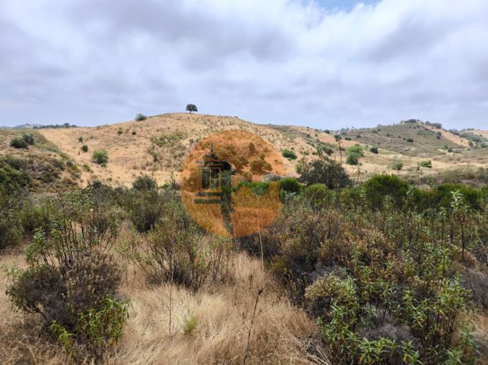 Image No.11-Plot for sale