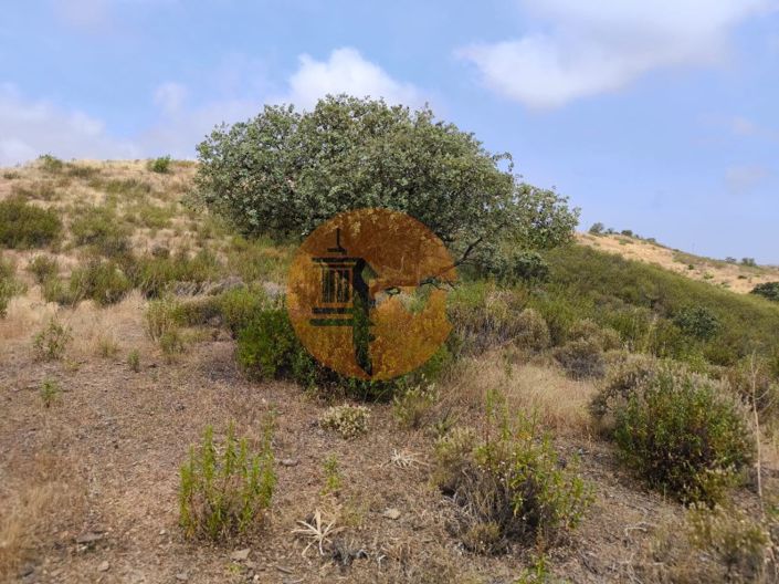 Image No.16-Plot for sale