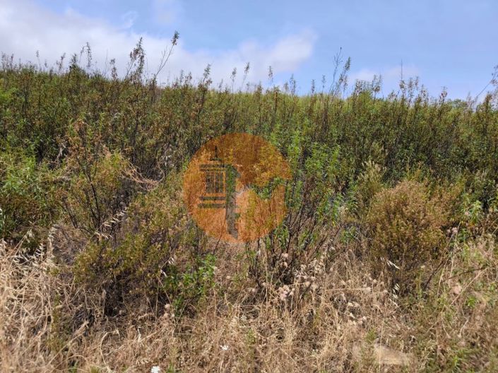 Image No.19-Plot for sale