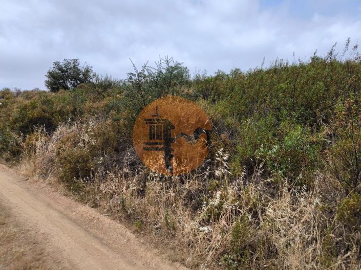 Image No.20-Plot for sale