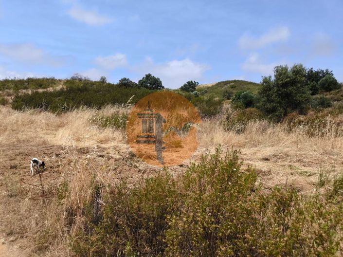 Image No.5-Plot for sale