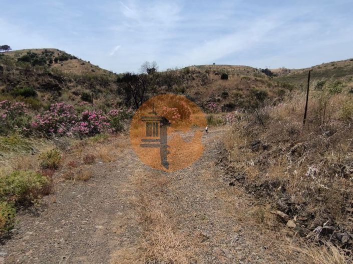 Image No.10-Plot for sale