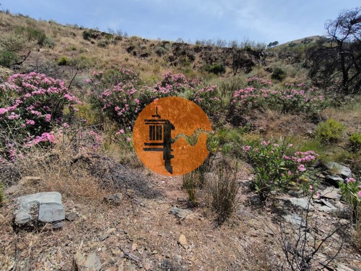 Image No.12-Plot for sale