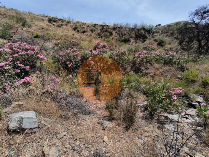 Image No.12-Plot for sale