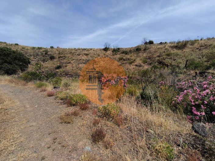 Image No.13-Plot for sale