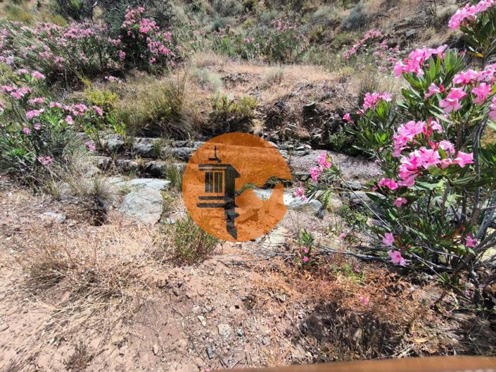 Image No.17-Plot for sale