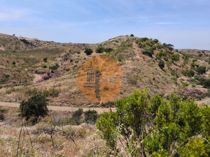 Image No.25-Plot for sale