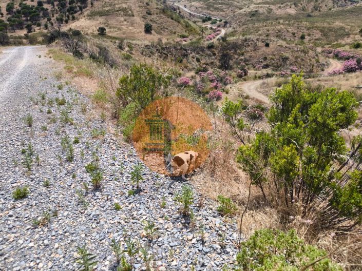 Image No.27-Plot for sale