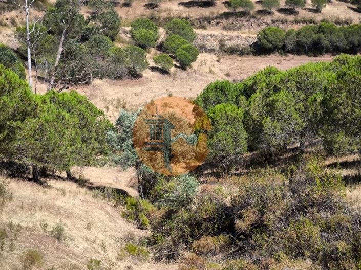 Image No.14-Plot for sale