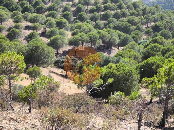 Image No.21-Terrain à vendre à Castro Marim